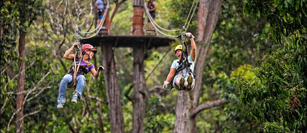 Tandem Zip