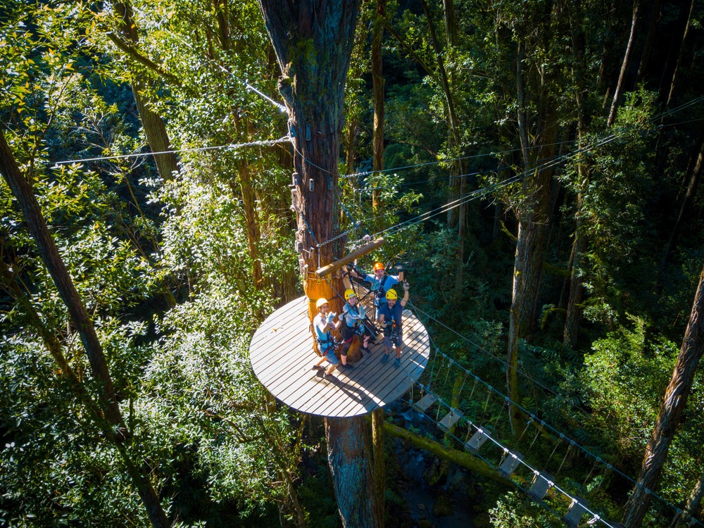Tree Based Platform