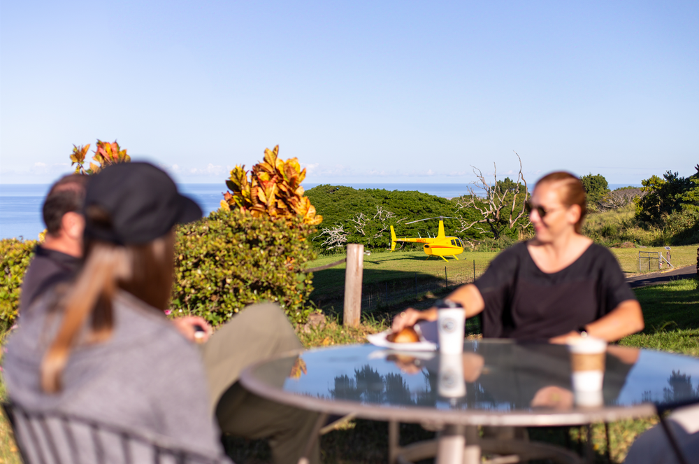 Helicopter tour over Kona coffee farms and Big Island coastline, aerial views