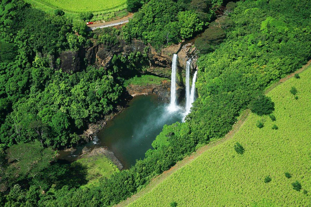 Lush valley