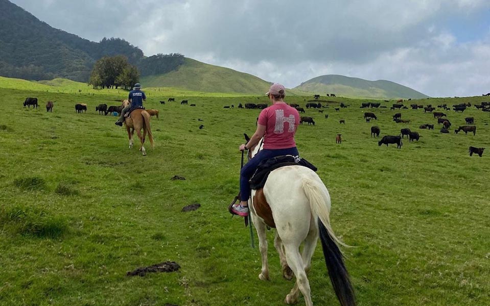 Kahua Ranch Horseback Riding