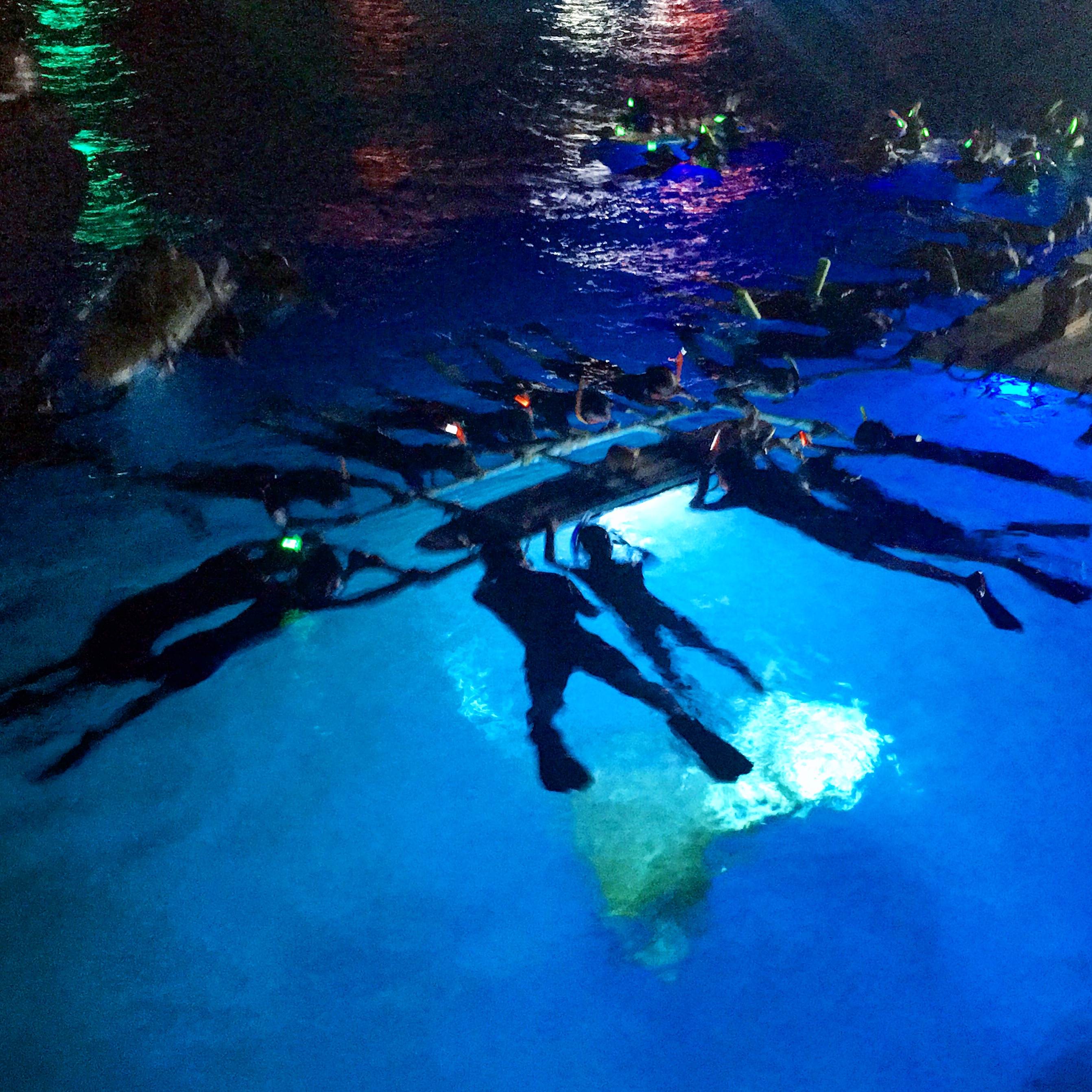 Ocean Encounters – Manta Ray Night Snorkel