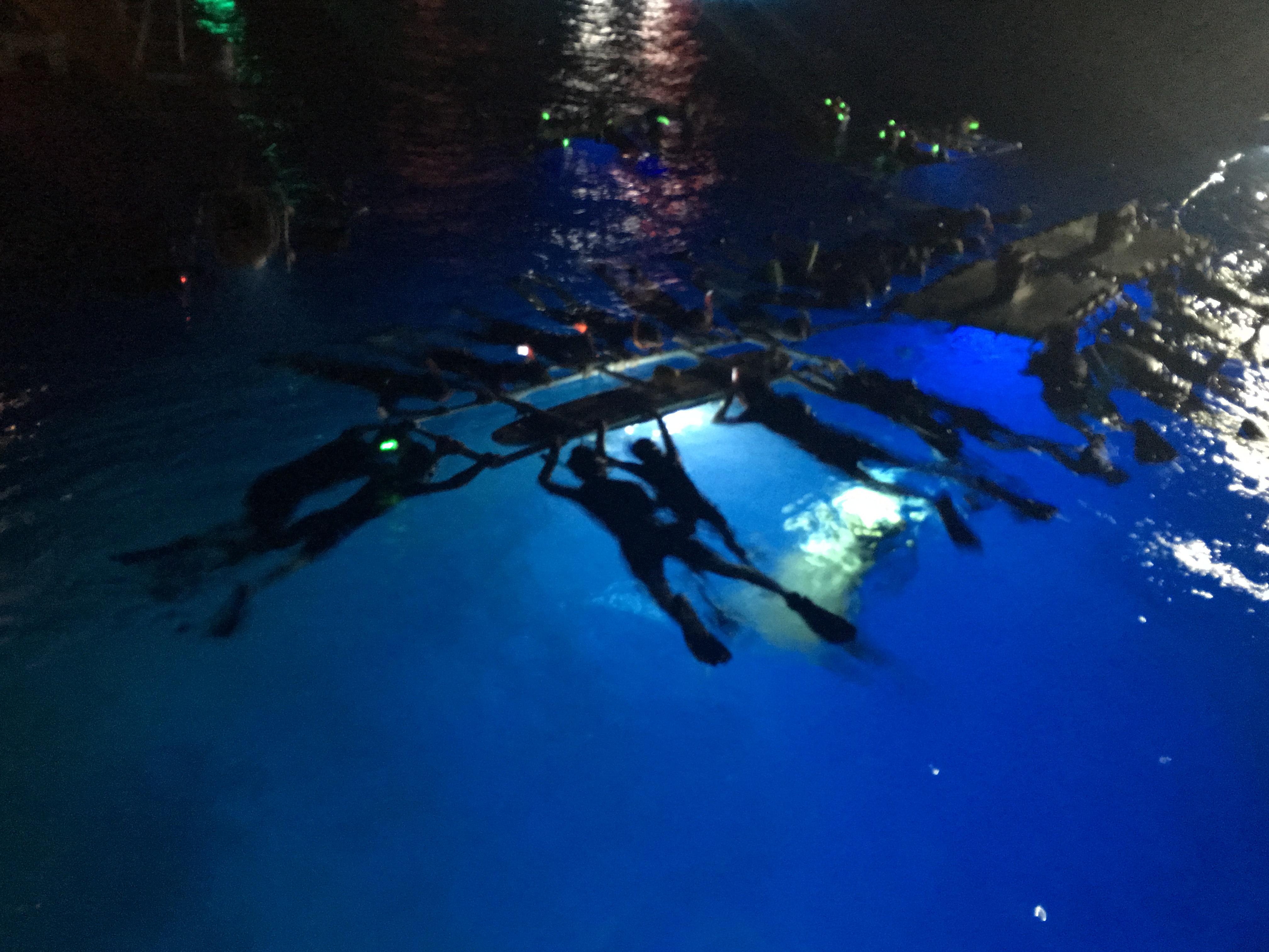 Ocean Encounters manta ray night snorkel