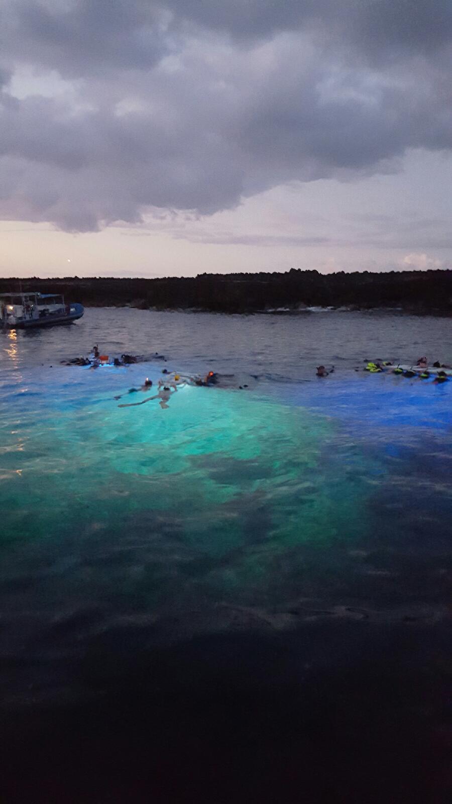 Snorkeling after dark in Kona with illuminated water