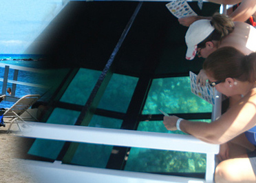 Ocean Sports Glass Bottom Boat Tour(3)