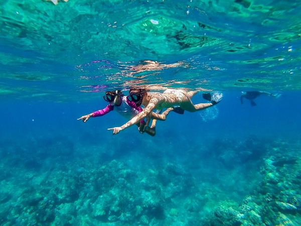 Ocean Sports – Snorkel Adventure Sail