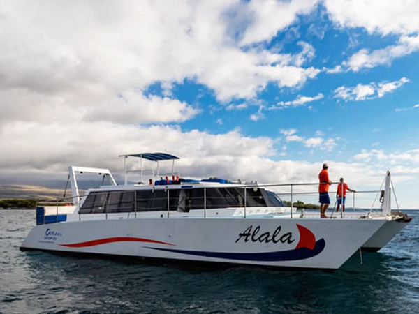 Tour Boat