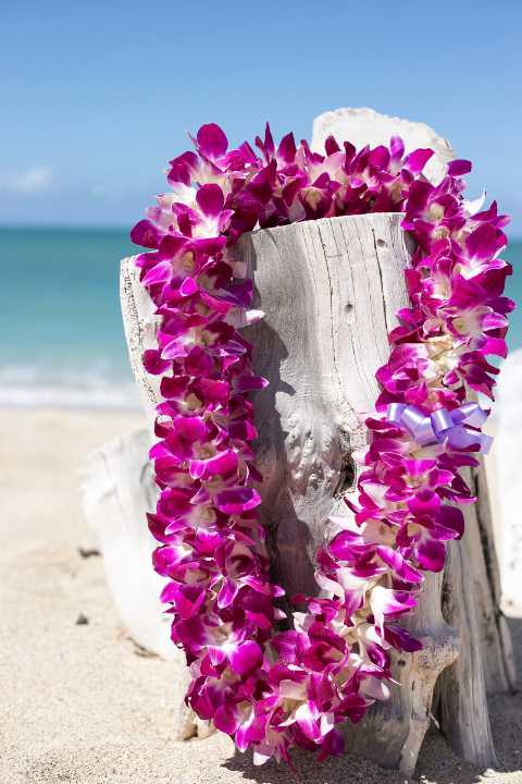 Deluxe Lei - our most lavish lei with three times the amount of flowers compared to the Standard Lei.