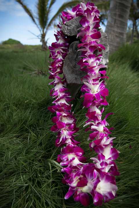 Superior Lei - a fuller lei with double the amount of flowers compared to the Standard Lei.