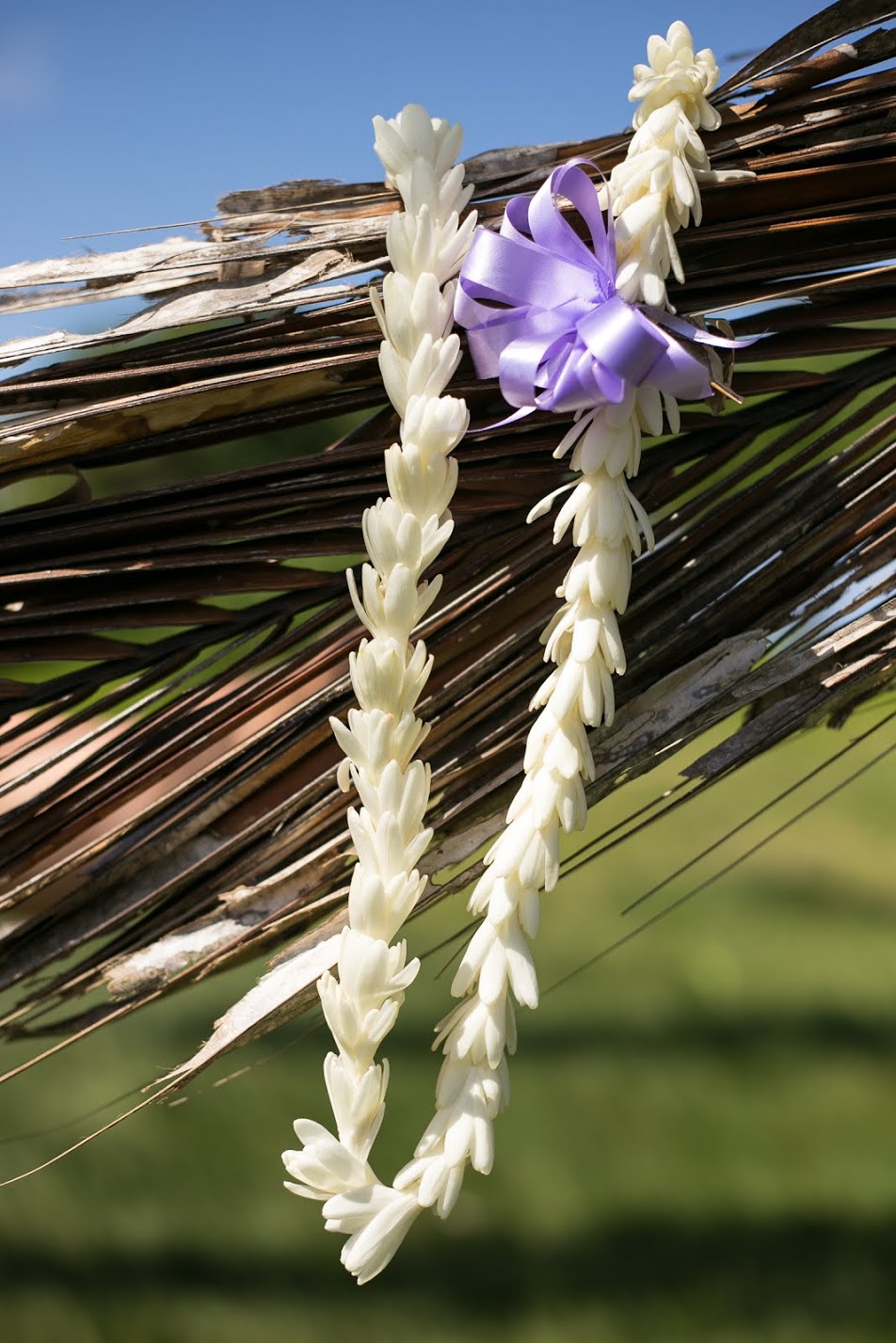 Tuberose Lei - stronger fragrance lei (sweet) compared to Standard Lei.