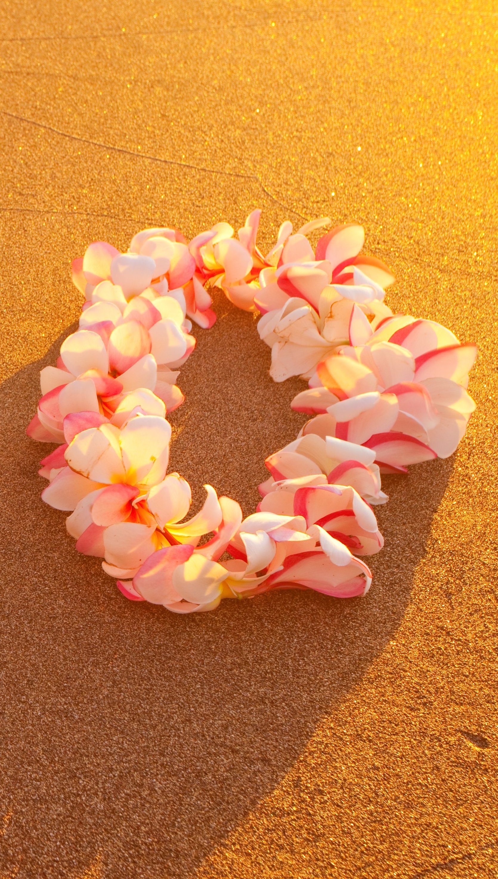 Tuberose Mix Lei - tuberose flowers mixed with either orchid or plumeria.