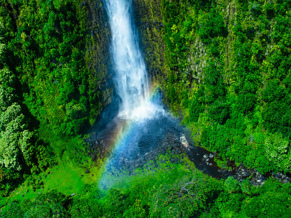 Laupāhoehoe Nui Falls on the Big Island, lush waterfall view in a tropical valley