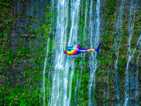 Waimanu Falls plunging over cliffs in Waimanu Valley on the Big Island