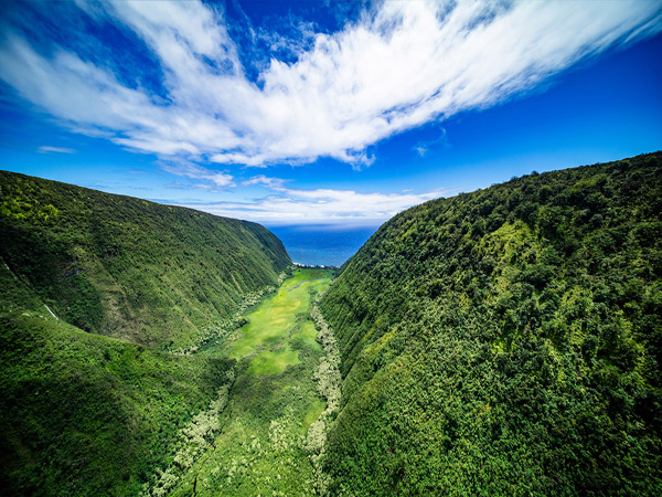 Waimanu Valley on the Big Island, dramatic green cliffs and remote coastline scenery