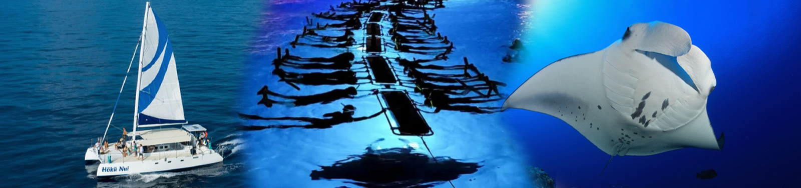 Sea Paradise – Moonlight Manta Ray Snorkel Tour