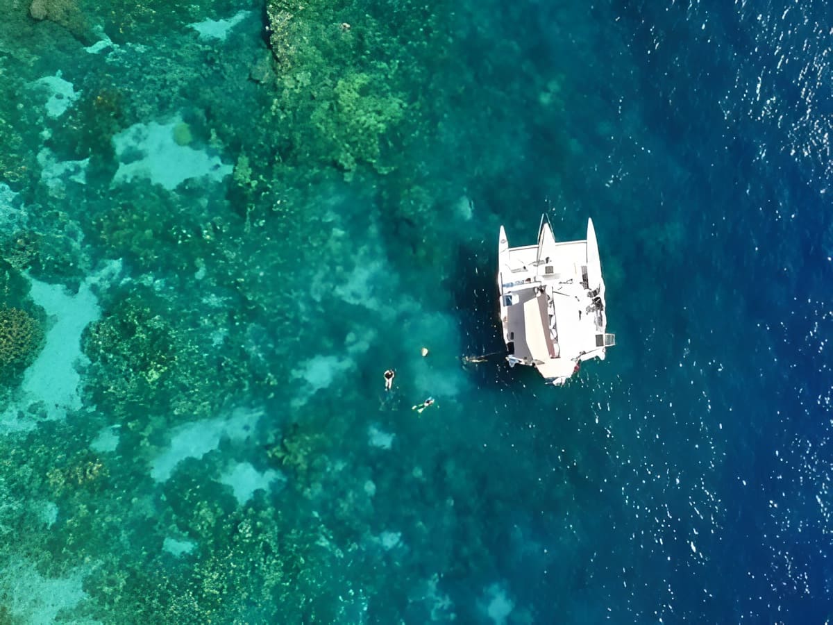 Sea Paradise – Morning Sail & Snorkel Tour