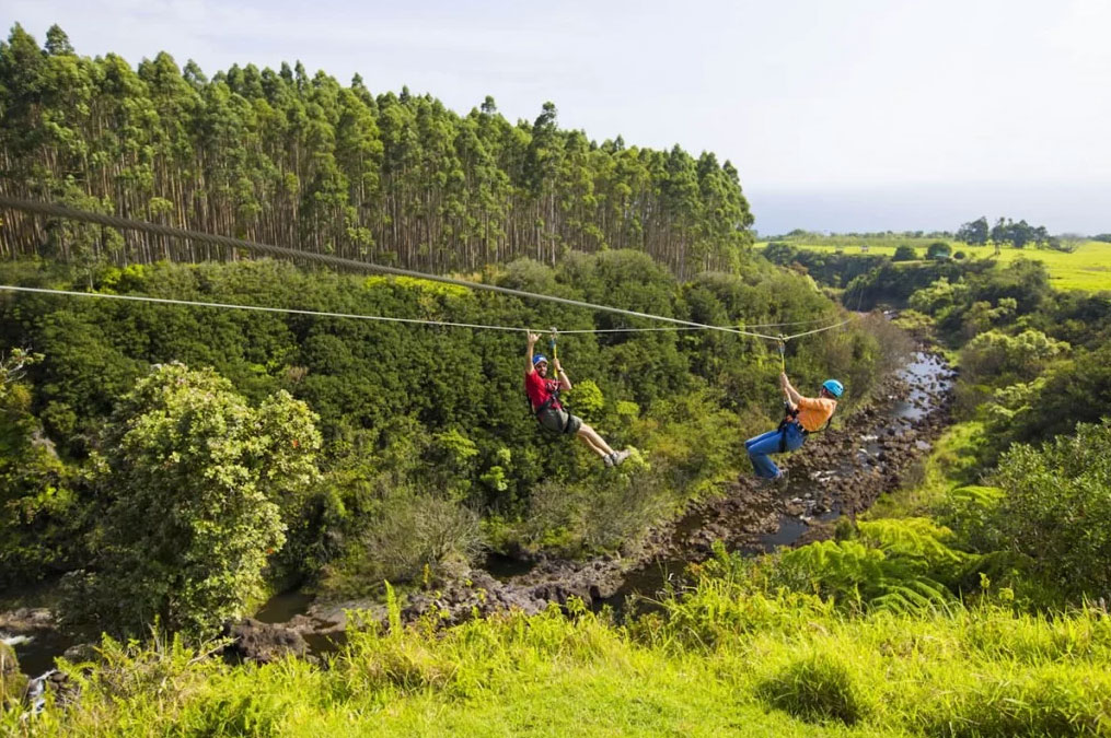 Zipline Adventure