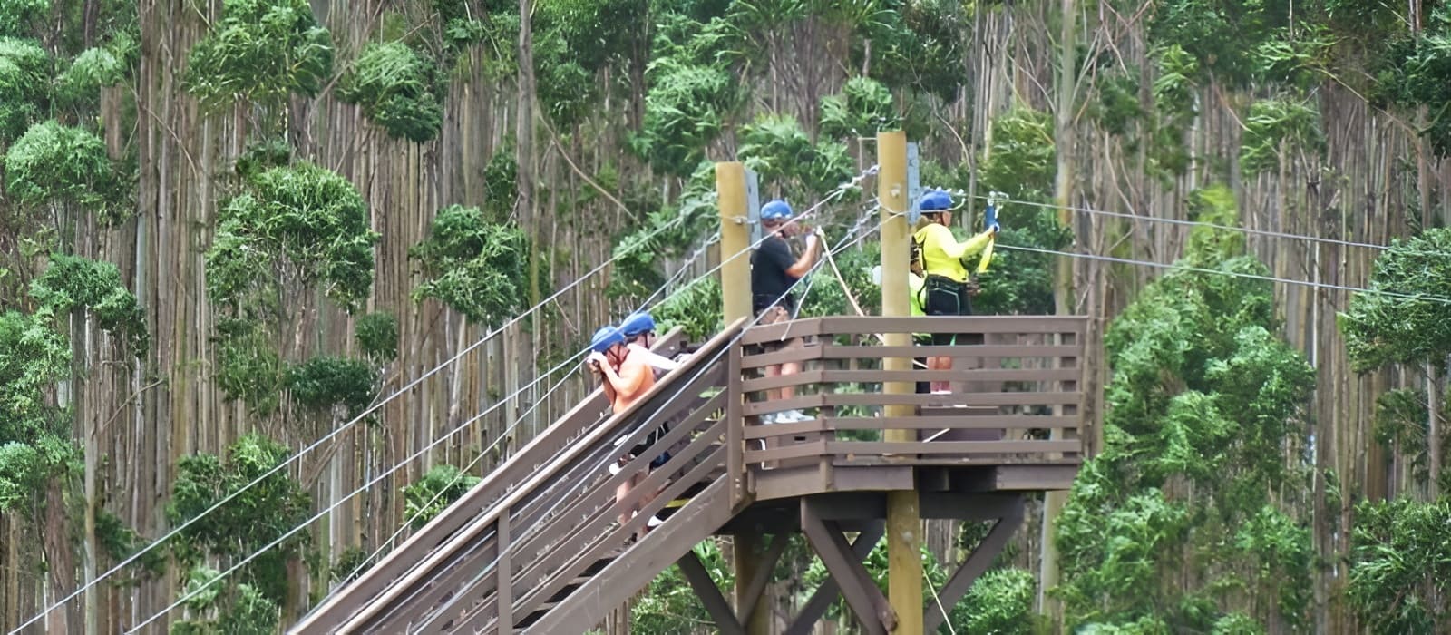 Zipline Tower