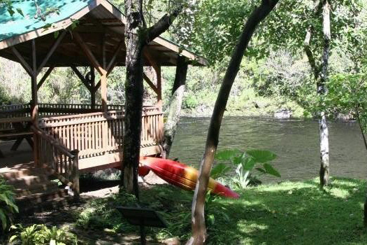 Umauma River Swim & Kayak Experience