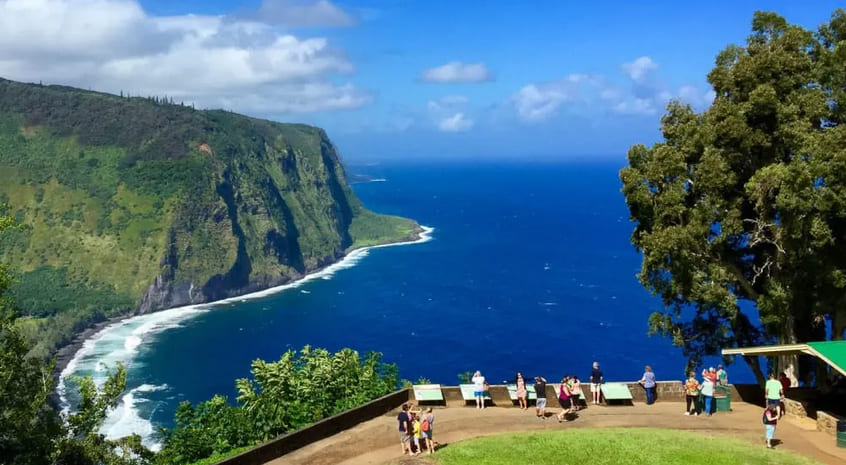 Wasabi Tours Hawaii