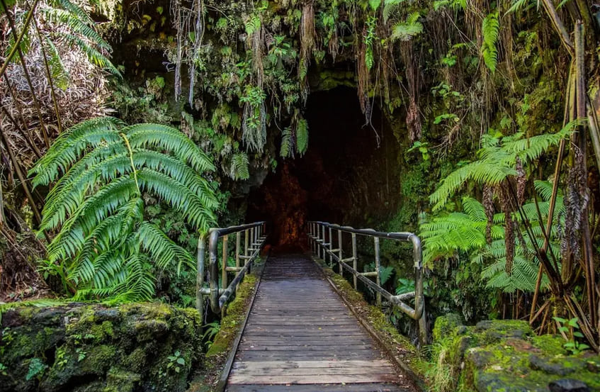 Lava Tube