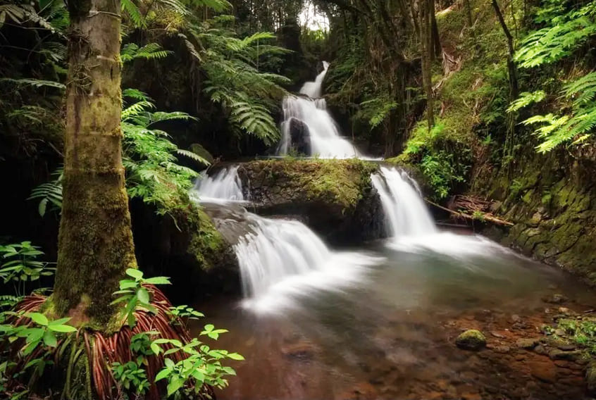 Serene Waterfall