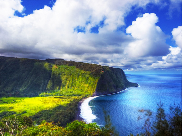Wasabi Tours - Big Island Waterfalls Adventure