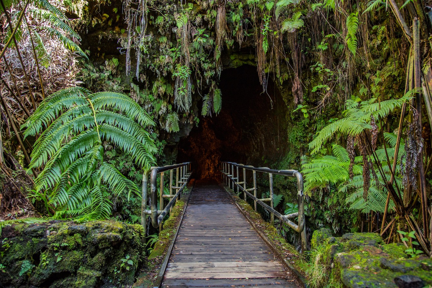 Lava Tube Entrance