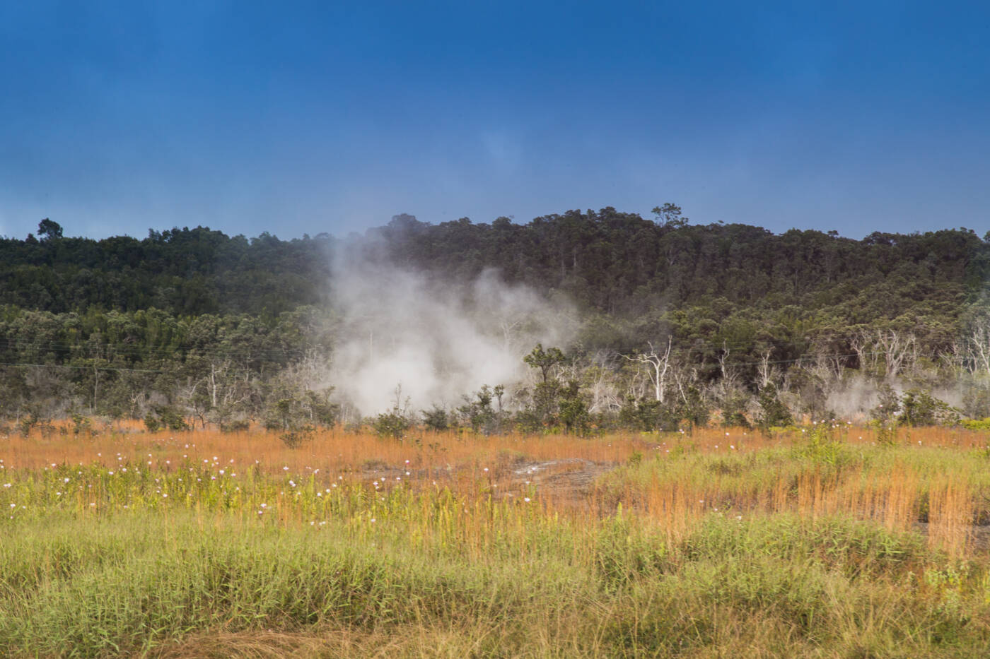 Volcanic Landscape