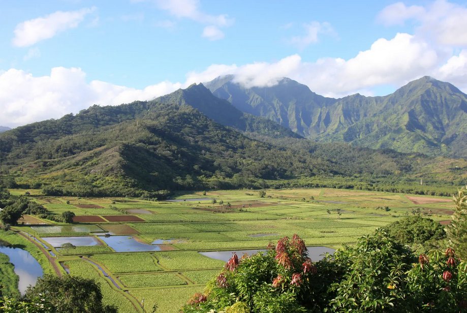 hanalei-valley