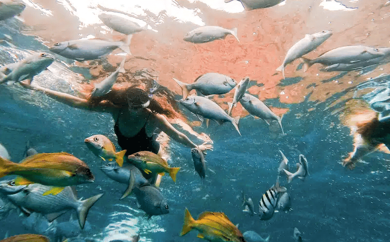 Na Pali Coast Snorkeling