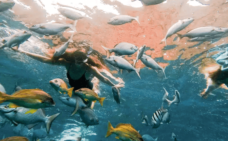Na Pali Coast Snorkeling