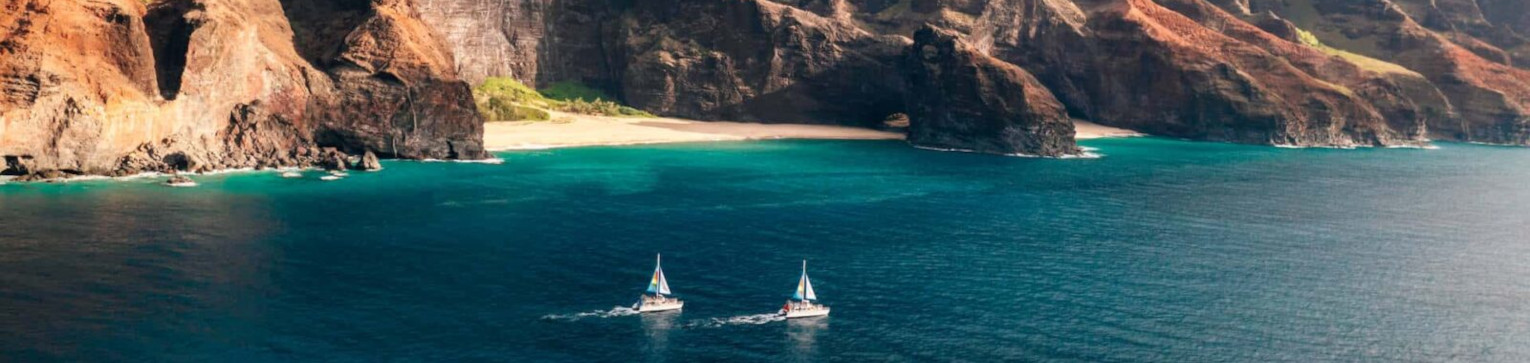 blue-dolphin-charters