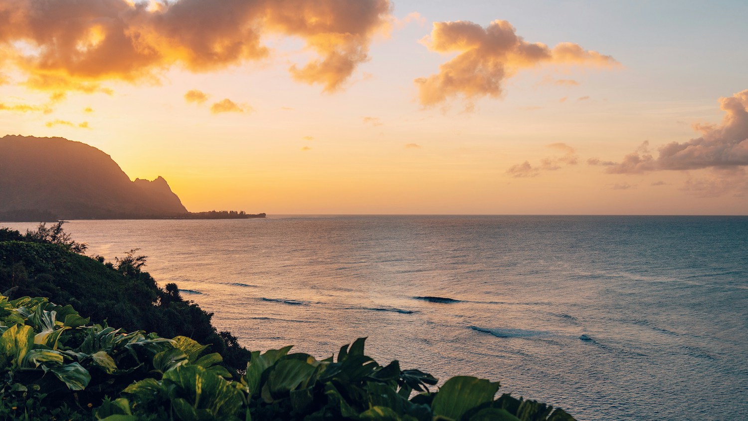 Kauai Ash Scattering Packages