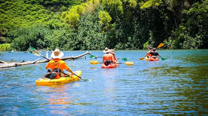 Guided Wailua River Kayak Tour