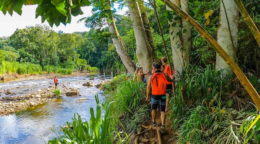 Rainforest Hike