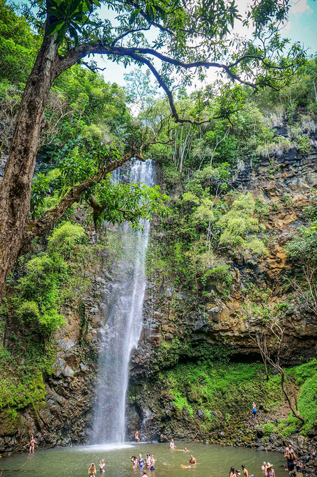 Waterfall Swim