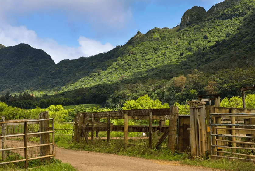 Kipu Ranch Views