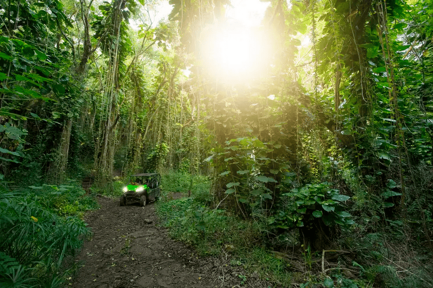 Kipu Ranch Waterfall Trail Tour