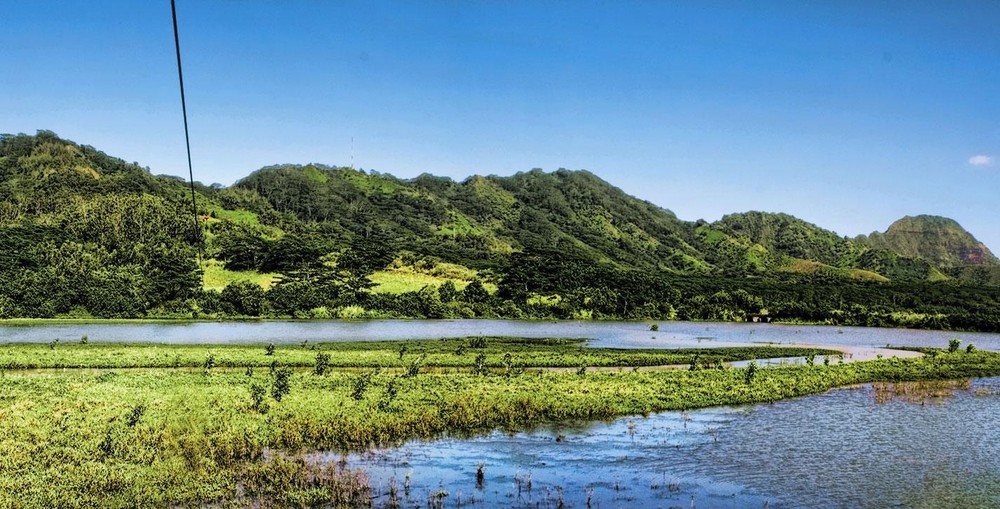 Daytime Koloa Zipline Tour