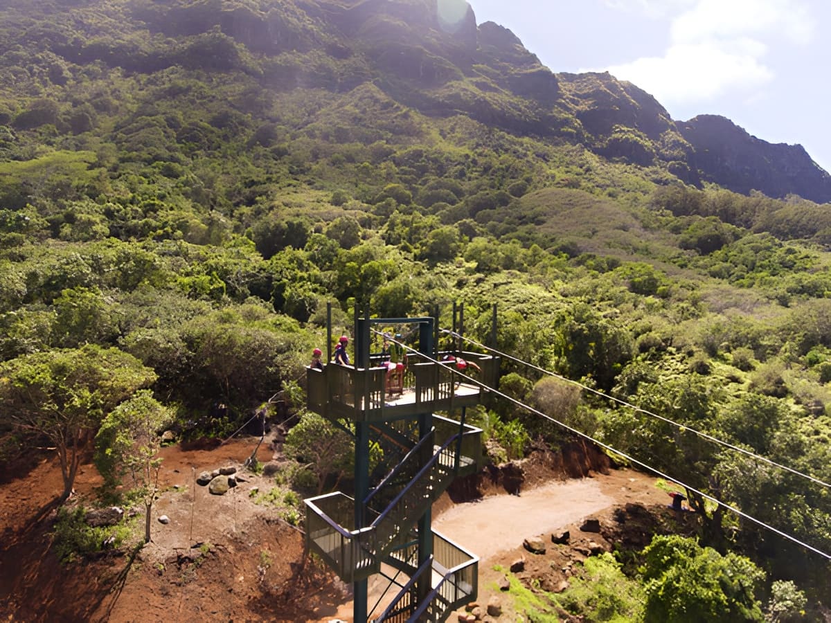 Zipline Tower