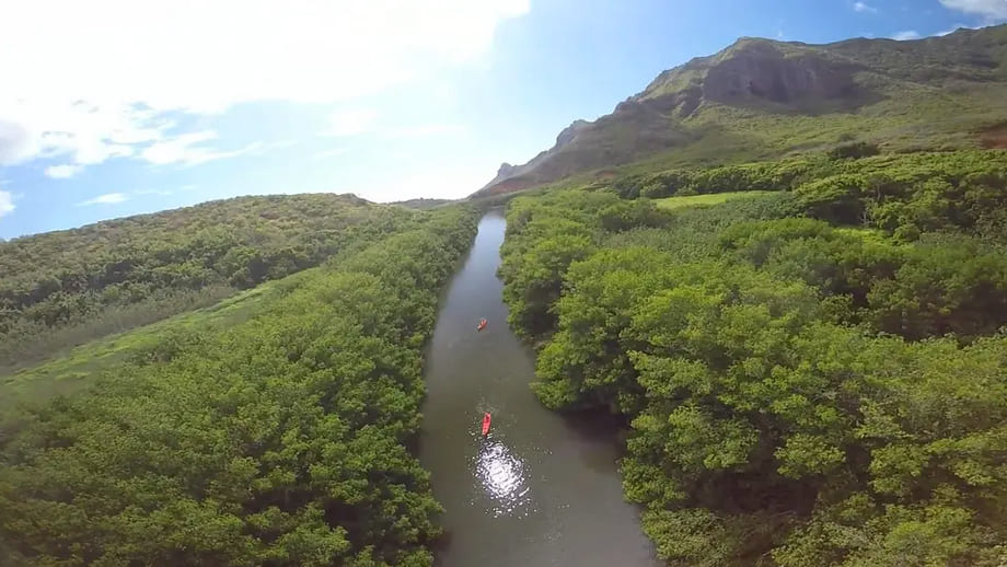 Huleia River Kayak Tour