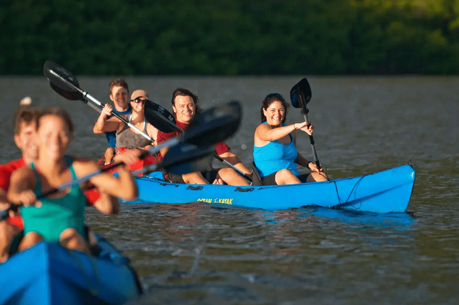 Guided Kayaking