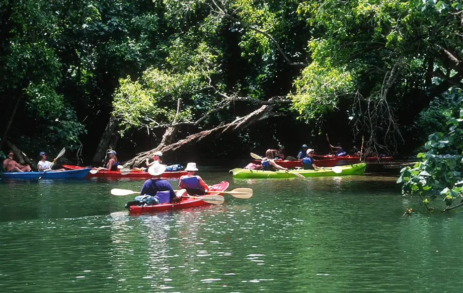 Guided Kauai Kayak Tour