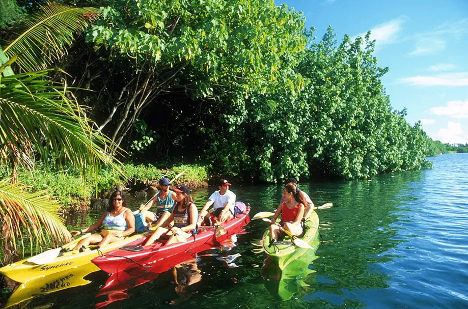 Wailua River Kayak Tour
