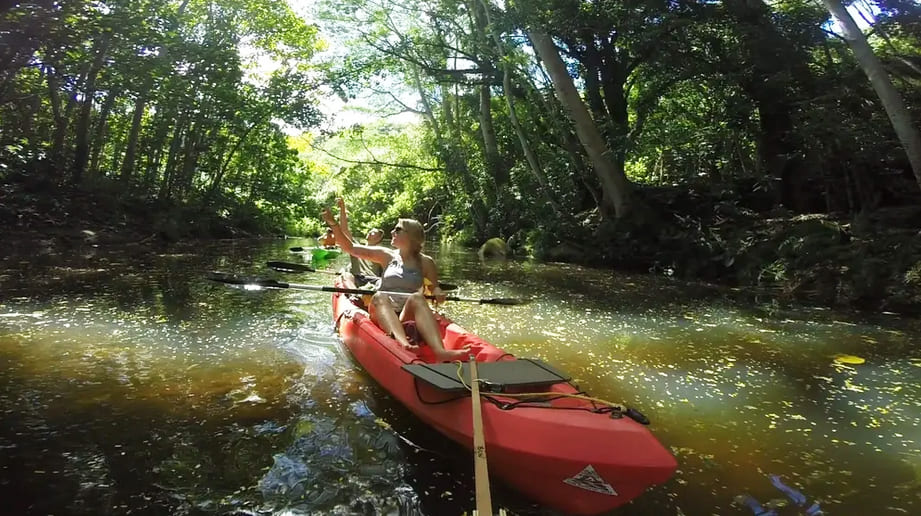 Wailua River Kayaking
