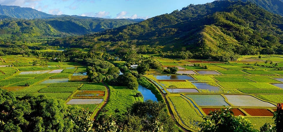 Polyad Kauai Highlights And Movie Site 3
