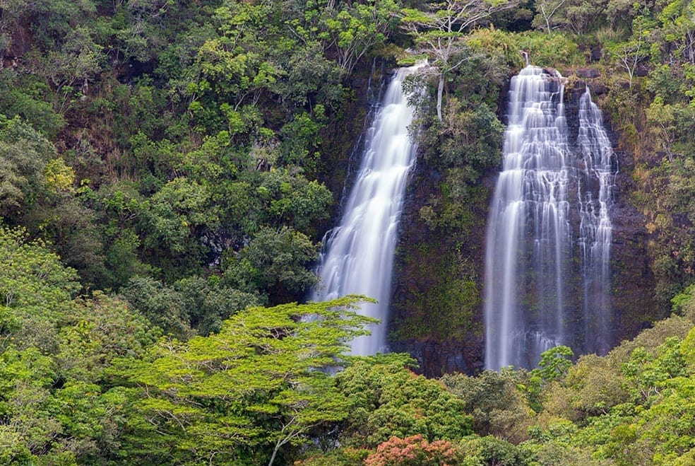 Polyad Kauai Highlights And Movie Site 4