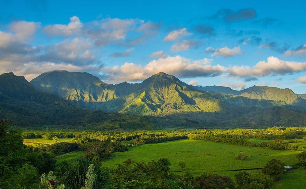 Polyad Kauai Highlights And Movie Sites
