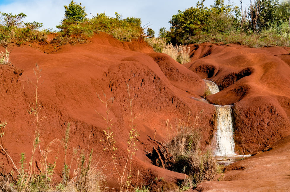 Polynesian Adventure Tours Waimea Canyon And Kokee Adventure 4